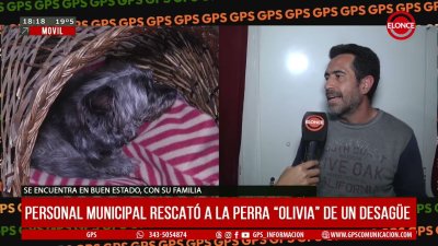 Personal municipal rescat&oacute; a la perra "Olivia" de un desag&uuml;e